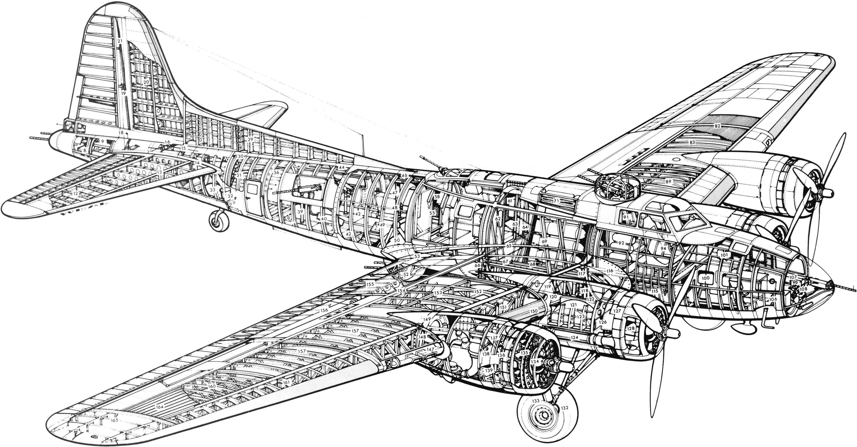 B-17 cutaway.