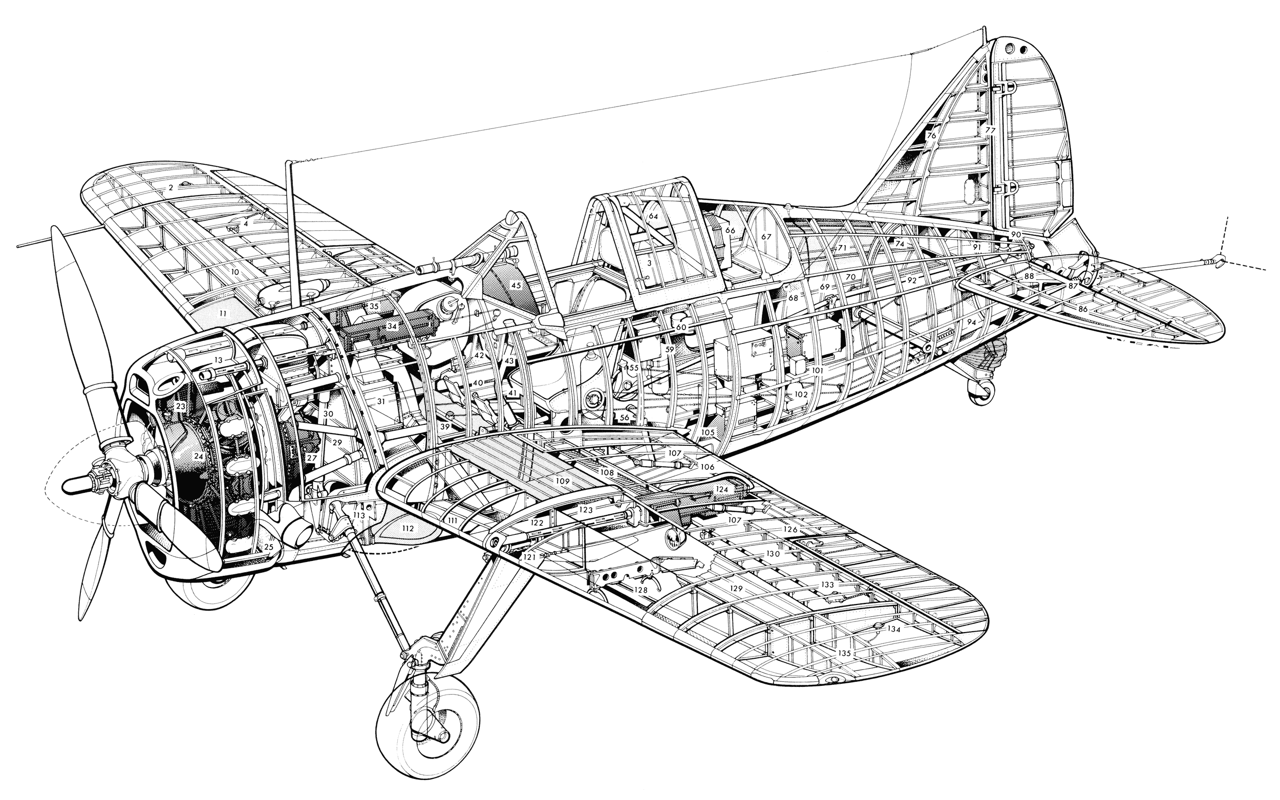 Brewster F2A Buffalo cutaway