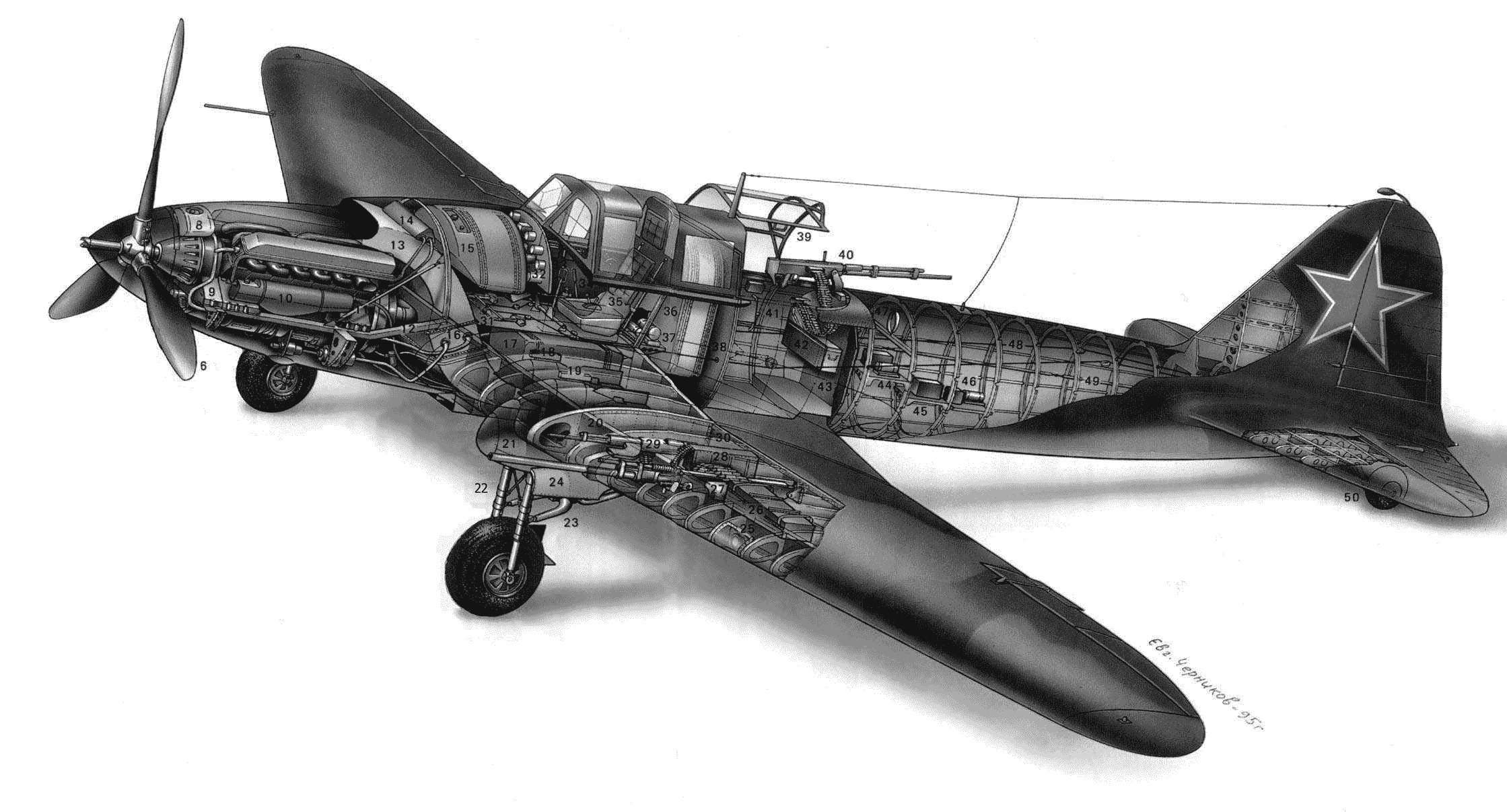 Ilyushin Il-2 cutaway
