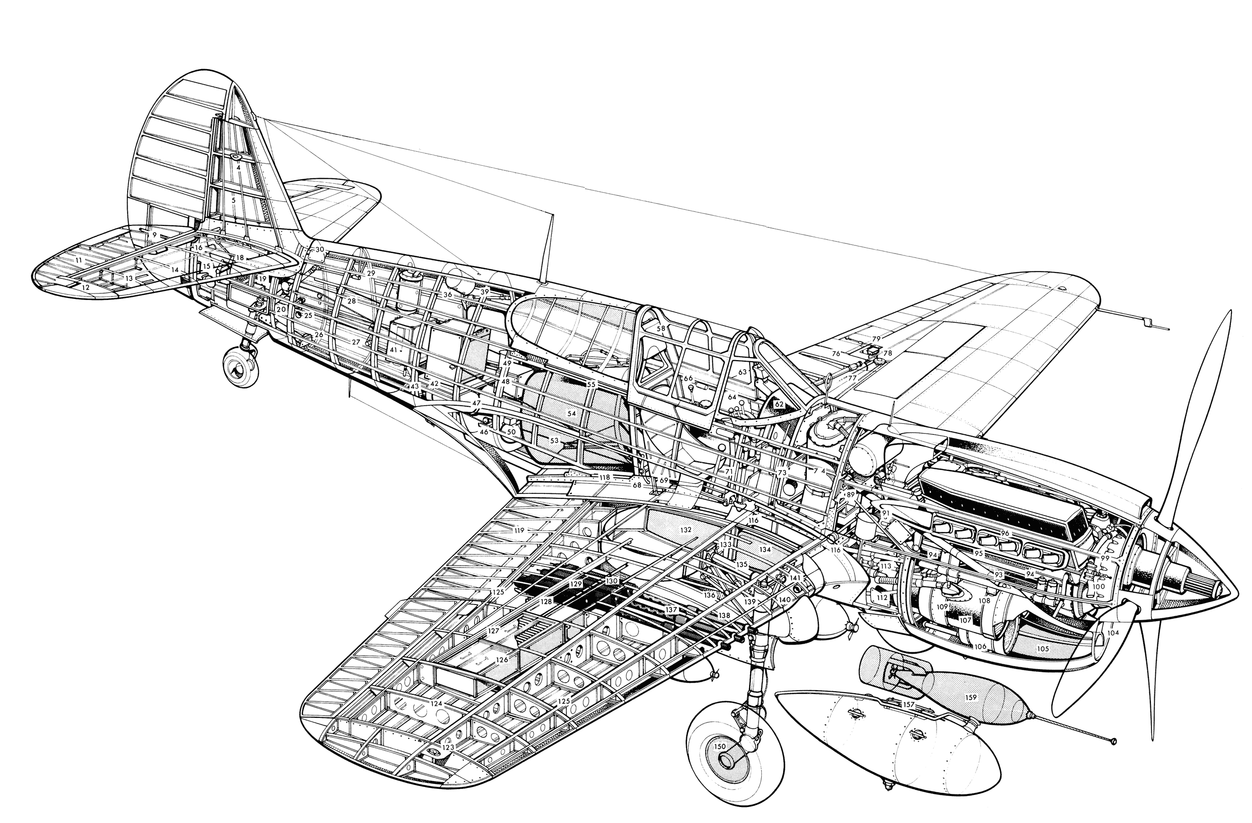 Curtiss P-40 Kittyhawk cutaway