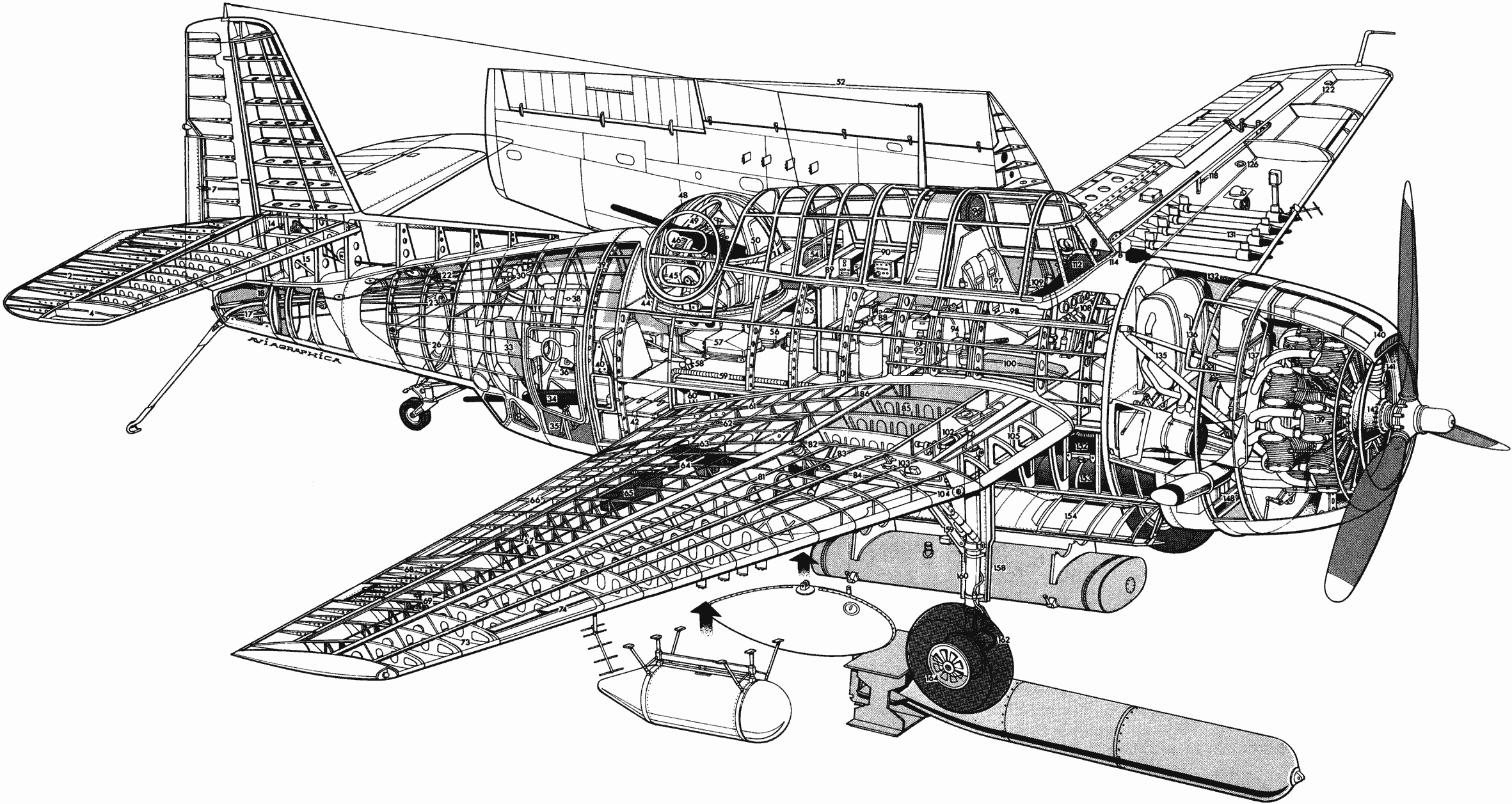 Grumman TBF Avenger cutaway