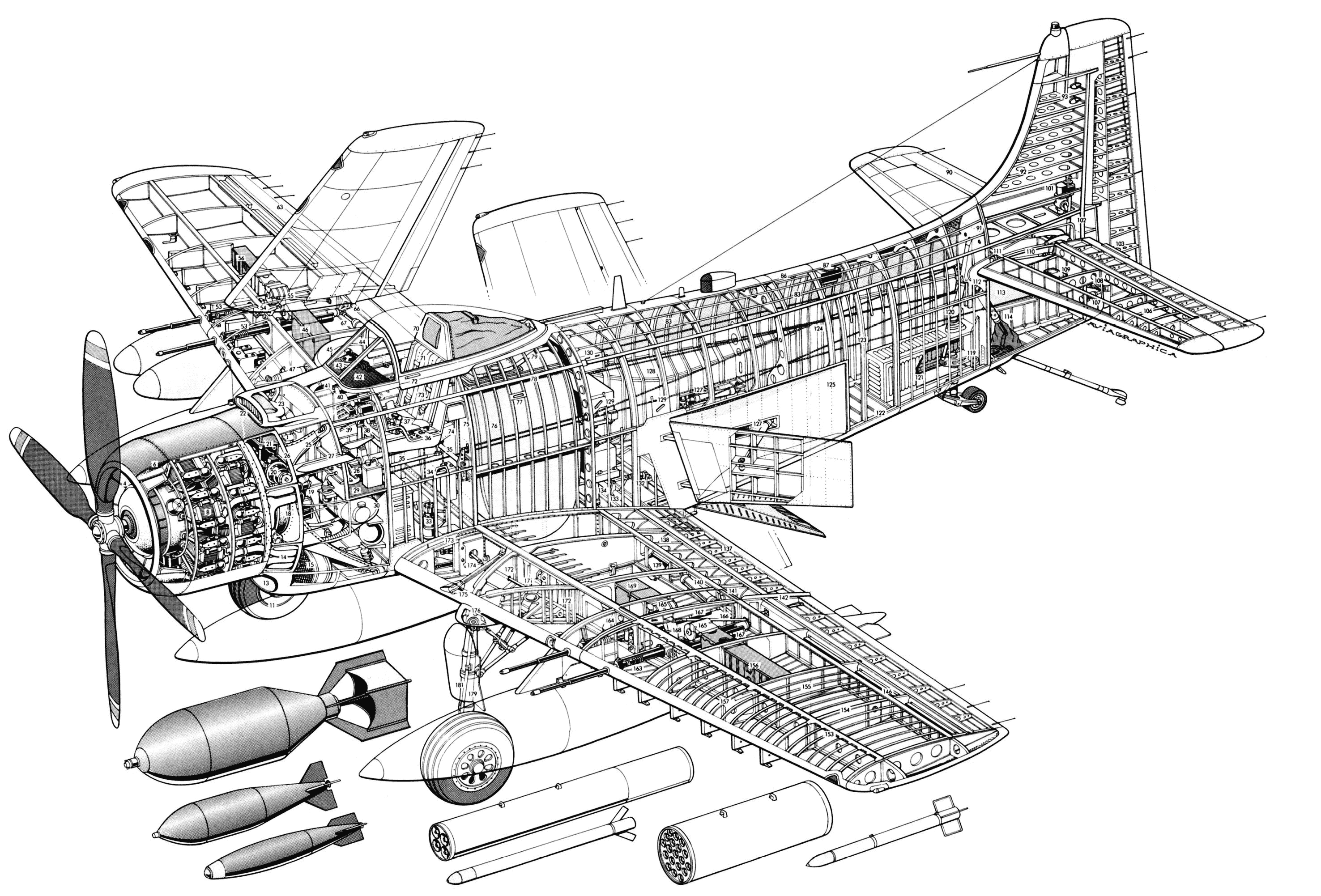 Douglas A-1 Skyraider cutaway