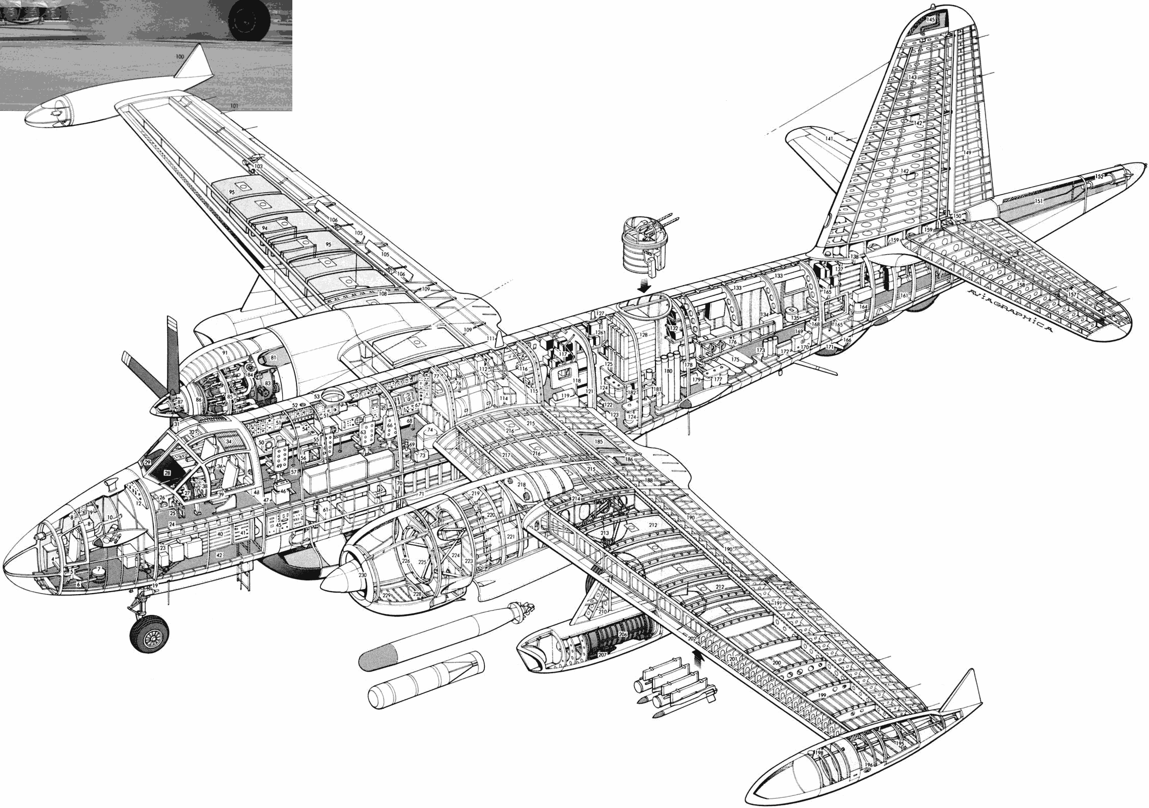 Lockheed P-2 Neptune cutaway