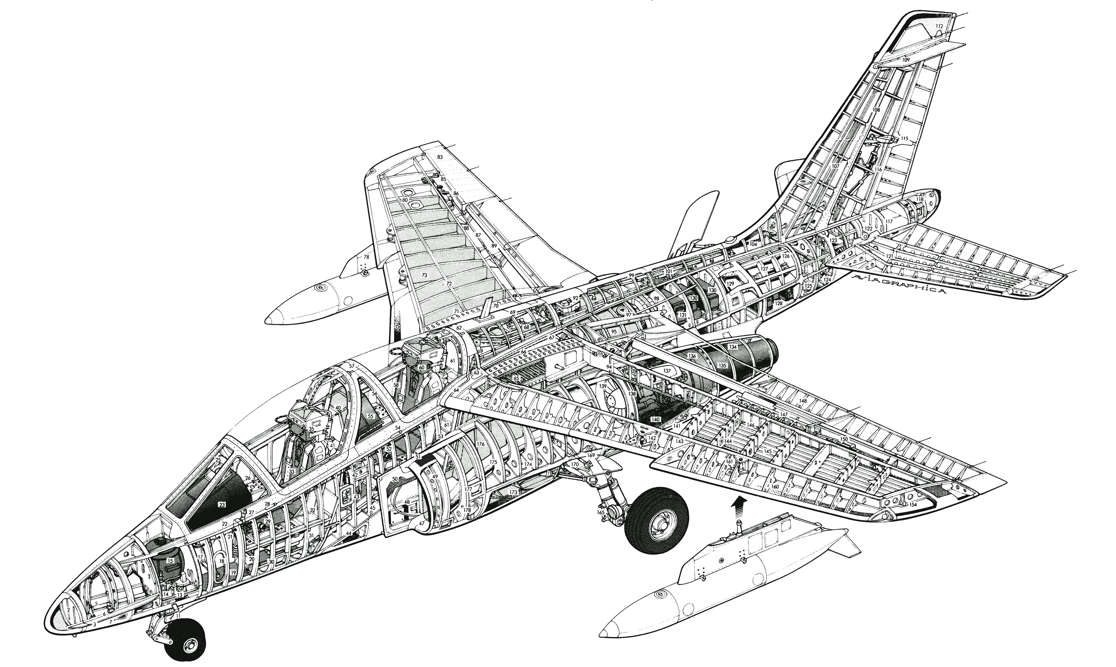 Dassault Alpha Jet cutaway