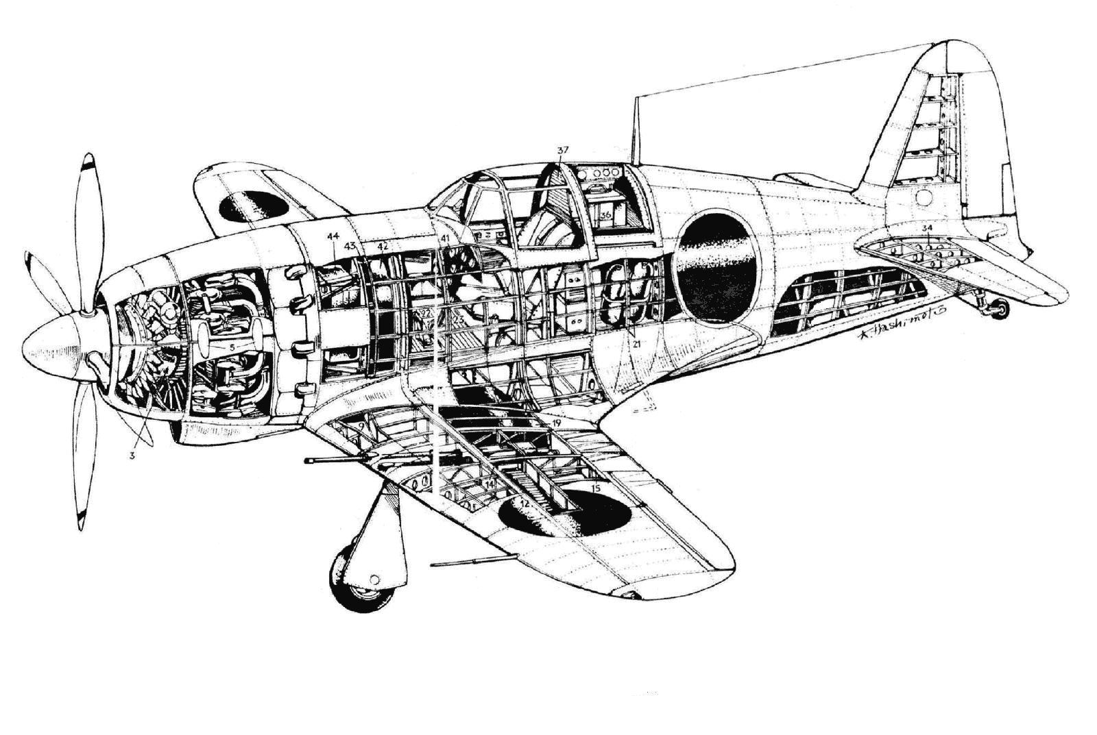 Mitsubishi J2M3 Raiden cutaway drawing