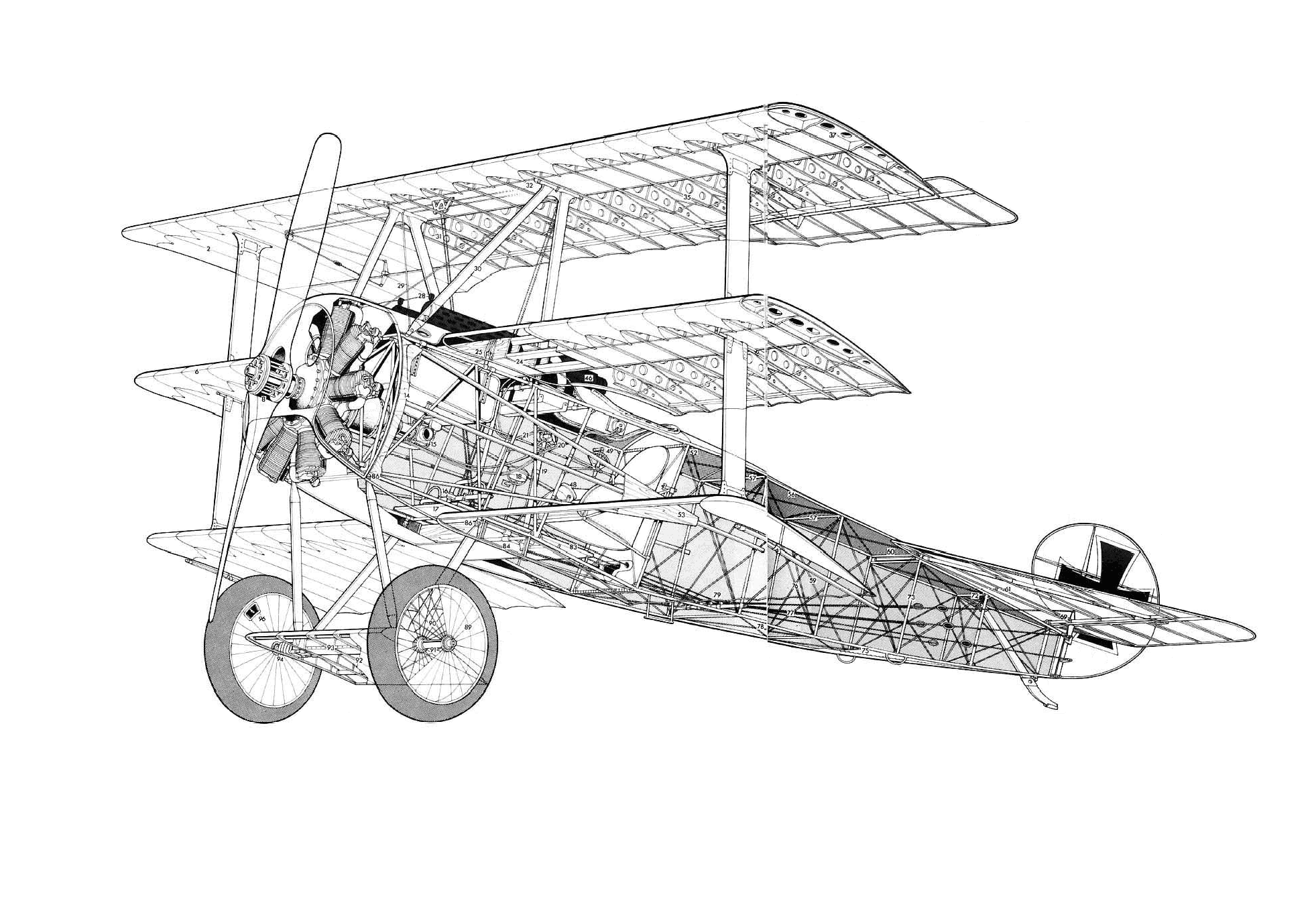 Fokker Dr.I cutaway drawing